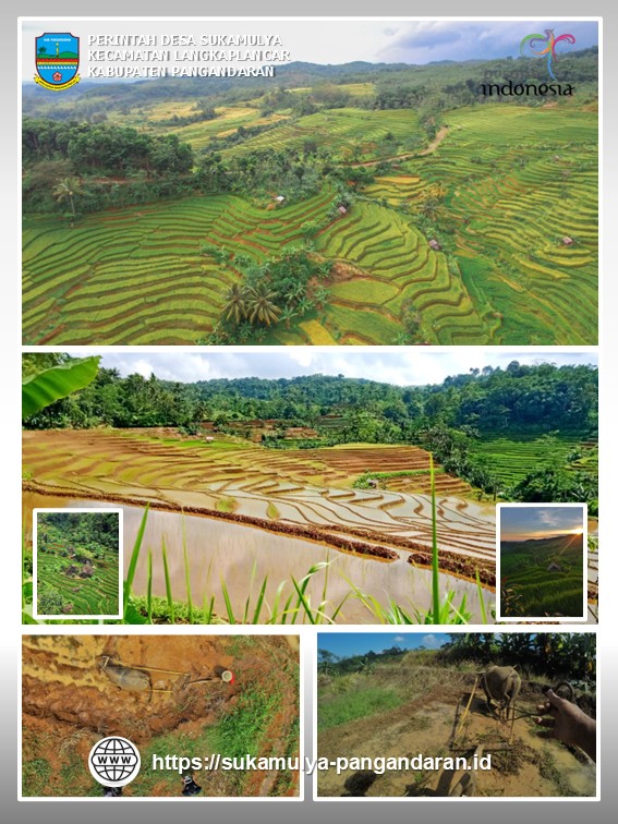 Desa Sukamulya Langkaplancar Pangandaran