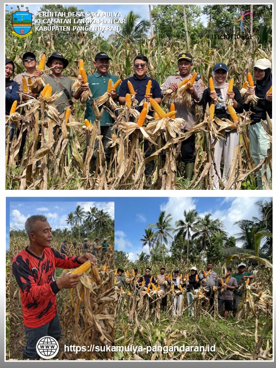 Desa Sukamulya Langkaplancar Pangandaran
